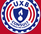 UXB Consult